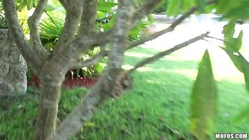 thumb-img