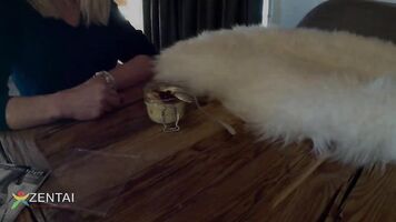thumb-img